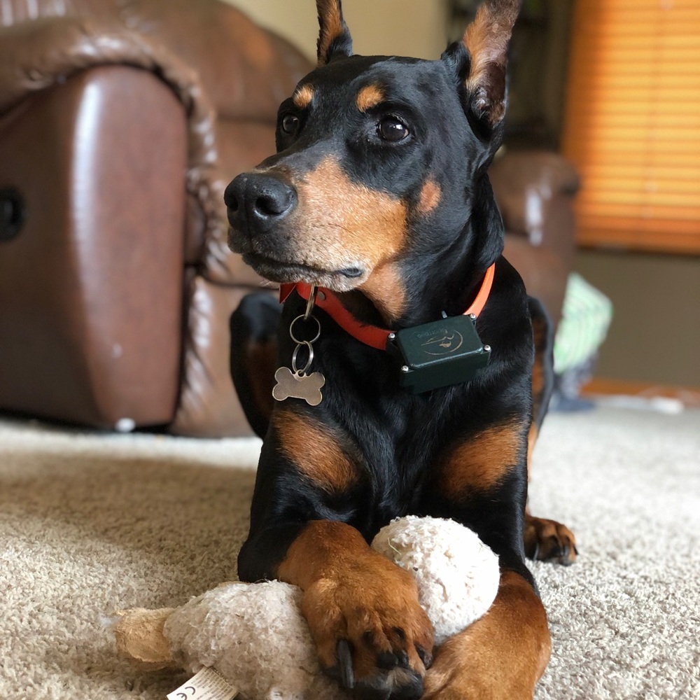 Meet your Posher, Kylee